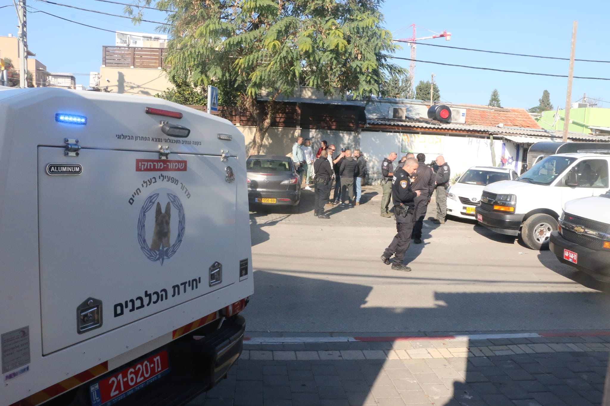 WhatsApp Image 2022-12-28 at 9.37.00 AM (1).jpeg